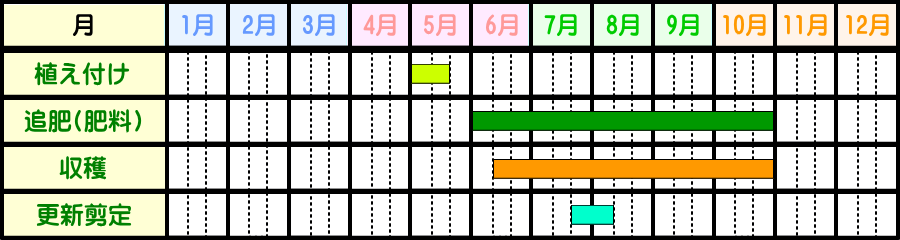 スキマでも簡単ナスの栽培方法